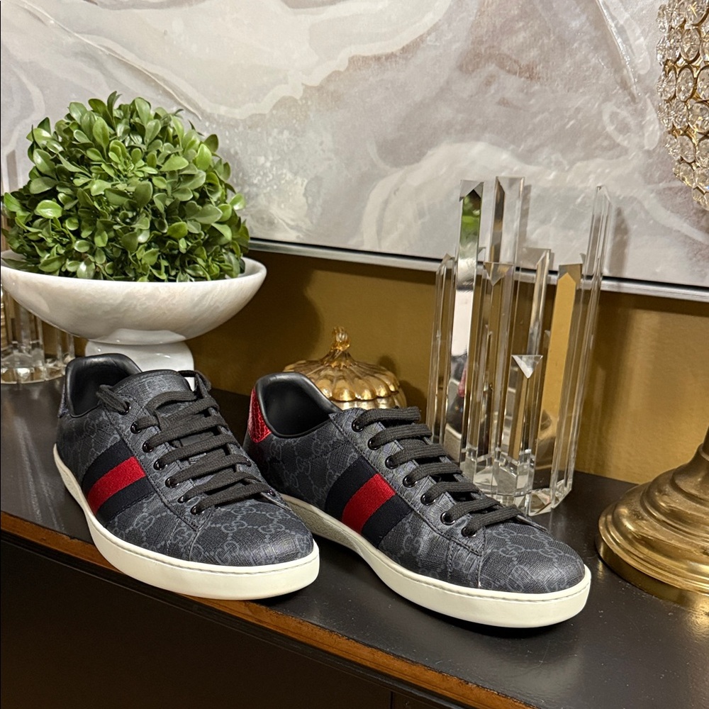 Gucci gg Ace Supreme